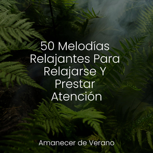 Vagabundeos Melódicos Helados