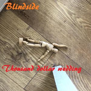 Blindside (2020 Acoustic Version)