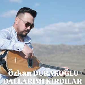 Dallarımı Kırdılar