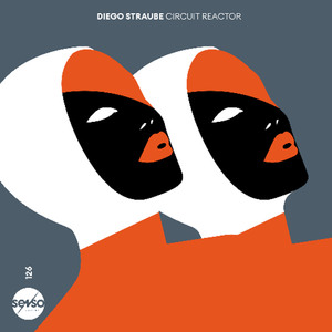 Diego Straube - Magnetic Induction