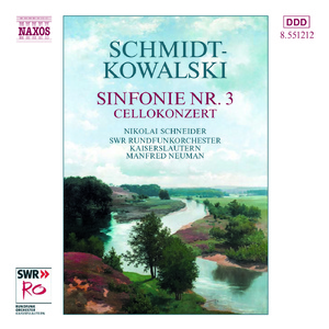 Cello Concerto in A Minor, Op. 84:II. Adagio mosso