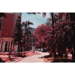 泷泽雅子-Flower（Xelly remix）