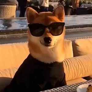 爱情码头翻唱：十九_20220426_191802