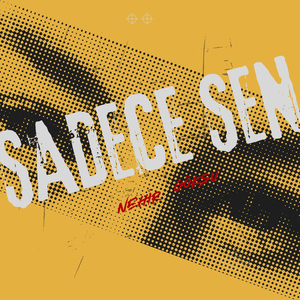 Evlerinin Önü Dumanlı Dayler