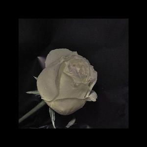 记得你曾说过(纯音乐)