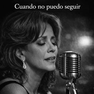 Cuando no puedo seguir