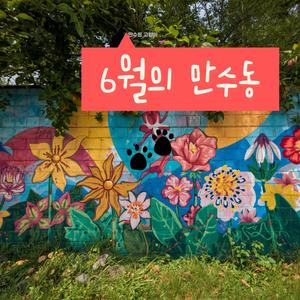 만수동 옥상 11시