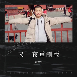 刘雪宁 - 又一夜
