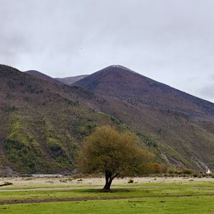 圈圈点点圈圈点点圈圈点点