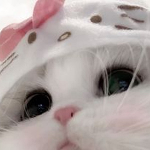 Disco Heaven (sped up)