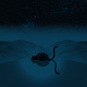 melancholy moonlight