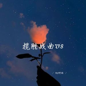 感觉至上V8 (揽胜版)