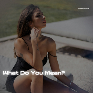 What Do You Mean?