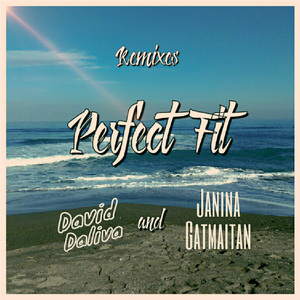 Perfect Fit (Clanevident Remix)