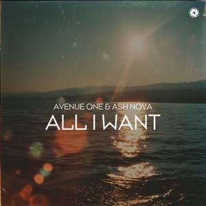 All I Want (Extended Mix)