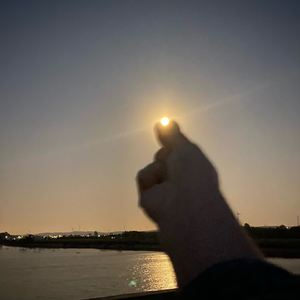 蝶恋花·春景（伴奏）