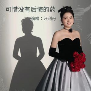 可惜没有后悔的药-伴奏