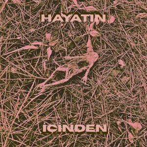 Ben Yine Göğe Bakardım