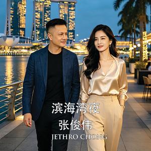 滨海湾夜