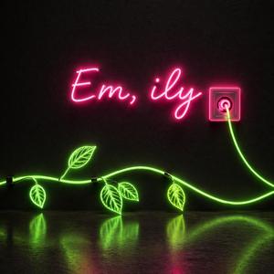 I Can't Lie (Remix)