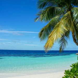 Caminado en la Orilla