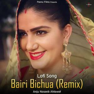 Bairi Bichua (Remix) -Lofi Song