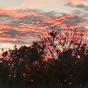 Sois heureux avec ce que tu as au lieu de s'inquieter de ce que tu n'as pas