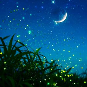 夏萤の低语（夏萤的低语）