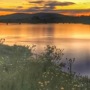 父亲写的散文诗