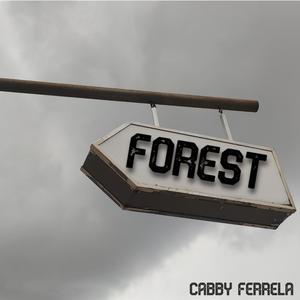 Forest (Neo Soul Relaxing guitar)