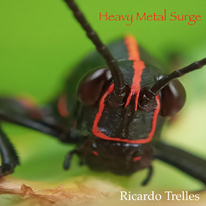 Heavy Metal Surge