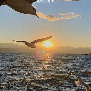 得到 (1)