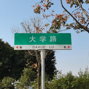 你笑了像花儿一朵