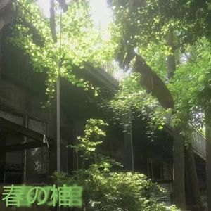 春之棺（prod by undislove）