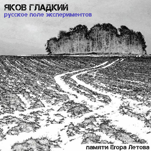 Русское Поле Экспериментов