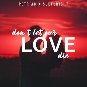 Don't Let Our Love Die (Radio Mix)