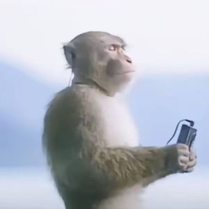 真的不知道叫啥