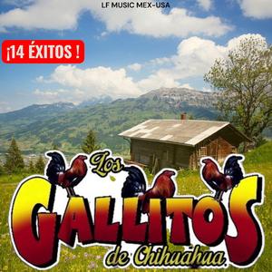 Mi Luna Mi Estrella-Los Gallitos de Chihuahua (14 éxitos en vivo)