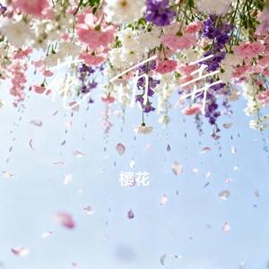 花雨弄 (樱花 Remix)