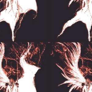 one winged angel