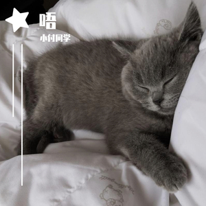小宇