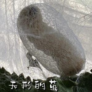 无形的茧