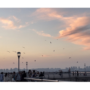 如愿-南无&广场舞大妈