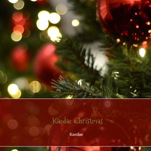 Enjoy The Christmas