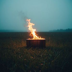 Сыпь, гармоника!