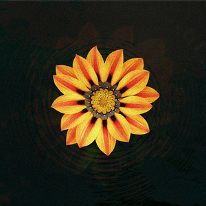 В конце концов