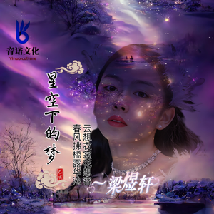 星空下的梦
