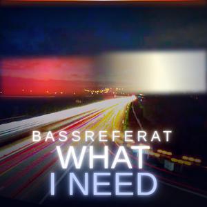 What I Need (feat. ZoyTa)