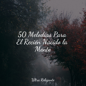 Baladas Florecientes