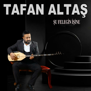 Şu Feleğin İşine